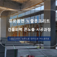 유로폼면 노출콘크리트 마감을 적용한 건물 외벽 콘노출 시공과정