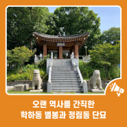 오랜 역사를 간직한 학하동 별봉과 정림동 단묘