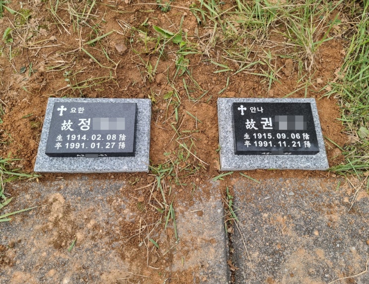 용인 평온의 숲 수목장(6인) 비석 각인 및 설치내용!(비석 사이즈 가로 15cm, 세로 10cm) : 네이버 블로그