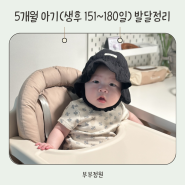 생후 5개월 기록 아기 신체발달 뒤집기지옥 외출 수유량