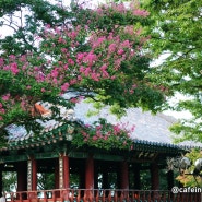 전주 여행 먹거리 볼거리 전주 남부시장 야시장과 청년몰 & 전주 맛집 조점례피순대