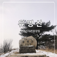 겨울 유명산 등산코스 : 유명산자연휴양림 이용하기