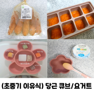 (초기 중기 이유식 ) 당근 큐브 만들기 아기 변비엔 요거트