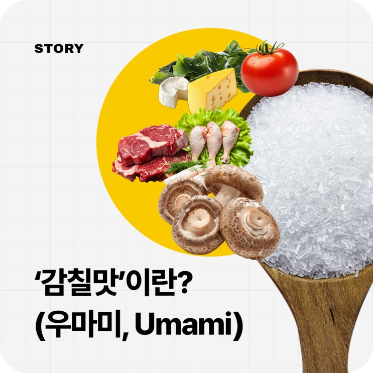 제5의 맛, 감칠맛(우마미, Umami)이란? : 네이버 블로그