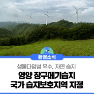 영양 장구메기습지가 국가 습지보호지역으로 지정되었습니다!