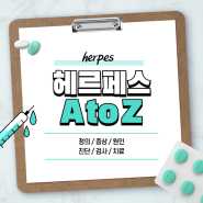 헤르페스 A to Z 【#증상 #원인 #약 #성병 #입술 #2형 #남자 #여자】