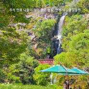 추석 연휴 나들이 가기 좋은 숲길, 안동 낙강물길공원