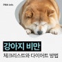 강아지 비만 체크리스트와 다이어트 방법