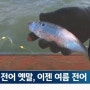 사회ㆍ정치ㆍ신문 속 이야기 모음