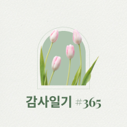 고마운 마음만 받겠습니다.