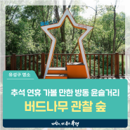 대전 유성구 명소, 추석 연휴 가볼 만한 곳 '방동 윤슬거리 버드나무 관찰 숲'