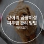 강아지 곰팡이성 피부염 관리 방법은?