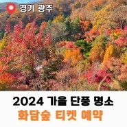 2024 가을 단풍 명소 화담숲 사전 예매 티켓 예약 꿀팁