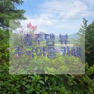 충주호 뷰 카페 충주 수국여울 충주 수국카페 충주 활옥동굴 근교 카페