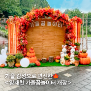 가을가을해🍁 가을 감성으로 변신한 양재천 가을꿈놀이터 개장