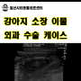 [일산 이물제거 수술] 강아지가 구토만하고 식욕과 활력이 없어요. 강아지 소장 내 이물 수술 케이스 [24시 일산시티동물의료센터]