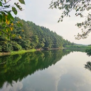 용인 대형 카페 볼거리 많은 데이트 드라이브 명소 알루엣 베이커리