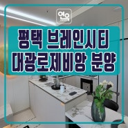 평택 브레인시티 대광로제비앙 분양정보