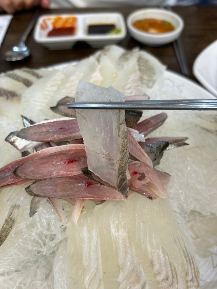 제주 연동 한치회 활어회 맛집, 신선한 제철회를 물씬 느낄 수 있는 '오름해산물' 추천 : 네이버 블로그