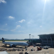 당진 서산 태안 안면도 김포공항 인천공항 콜밴 대형택시 기사포함 렌트카 얼마 남지 않았는데 망설인다면