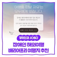 [내꿈내일 기자단 11기] 휠체어 타고, 해외여행 떠나요! - 항공기 탑승 팁, 배리어프리 여행지 추천