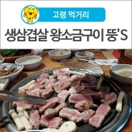 [고령 먹거리] 대한민국 1% 명품암돼지, 생삼겹살 왕소금구이 뚱'S