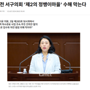 (굿모닝충청) 대전 서구의회 '제2의 정뱅이마을' 수해 막는다