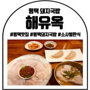 평택 맛집 : 평택 돼지국밥 : 해유옥