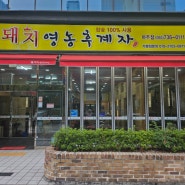 #듀록삼겹살맛집 거제도 현지인 맛집 아주동 <돼지영농후계자> 고고!!!