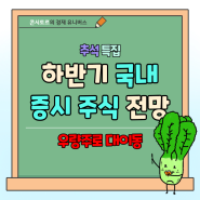 국내 주식 증시 전망 추천, 하반기 불확실성으로 인한 우량주로 대이동