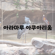 [사천]아라마루 아쿠아리움/동물원 가고보자(주차/티켓할인예매 등)