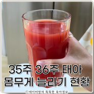 임신 후기 35주 36주 태아 몸무게 늘리기 추이 2.4kg