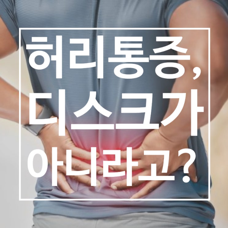 허리 벨트라인 아파요 뻐근해요(하부요추 통증) 왼쪽 오른쪽 허리 구부릴 때 통증 [급성 요통, Acute back pain ...