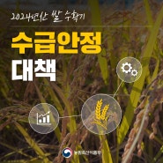 [KTV 블로그 정책+]2024 쌀 수확기 수급 안정 대책의 모든 것!_ Have a Rice Day~