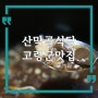 고령군 맛집 산막골식당 흑마늘삼계탕