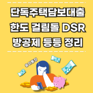 단독주택담보대출 한도 걸림돌 DSR 방공제 등등