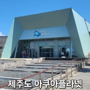 9/14~18 추석할인) 제주도 아쿠아플라넷 제주도민 50%할인