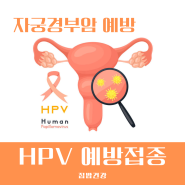 HPV 예방접종 종류 및 가격과 남자 여자 무료접종 시기와 간격 알아보기