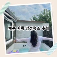 제주 서쪽 감성 숙소 비비엔다제주 패밀리룸 숙박 후기