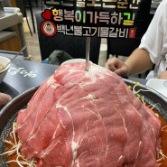 문정역맛집 산더미 소물갈비 백년불고기물갈비 문정역점