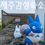 제주 가성비 숙소 감성 펜션 스테이오늘 다녀왔어요