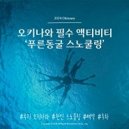 [오키나와 3박 4일] 필수 액티비티 '푸른 동굴 스노클링/스쿠버 다이빙' | 한인 업체 루리 오키나와