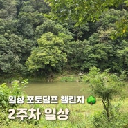 일상 포토덤프 챌린지 9월 둘째 주 기록