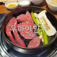 사직동 사직야구장 소고기 맛집: 우마이한우 아기랑