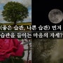 (좋은 습관, 나쁜 습관) 먼저 습관을 들이는 마음의 자세? 에 관하여 (간단 고찰)