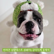 강아직계 유재석!! ㅋ 우리 강아지의 성격유형을 확인해보세요. #DBTI