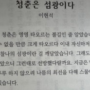 청춘은 섬광이다