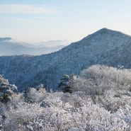 설경이 아름다운 계방산 눈꽃 설화 상고대 전망대 등산 코스 후기