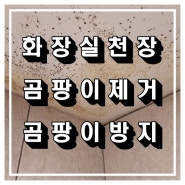 관악 화장실천장 곰팡이제거 곰팡이방지 작업 진행했습니다.