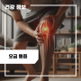 다리 오금 통증 원인 5가지, 치료 : 오른쪽 왼쪽 오금 통증